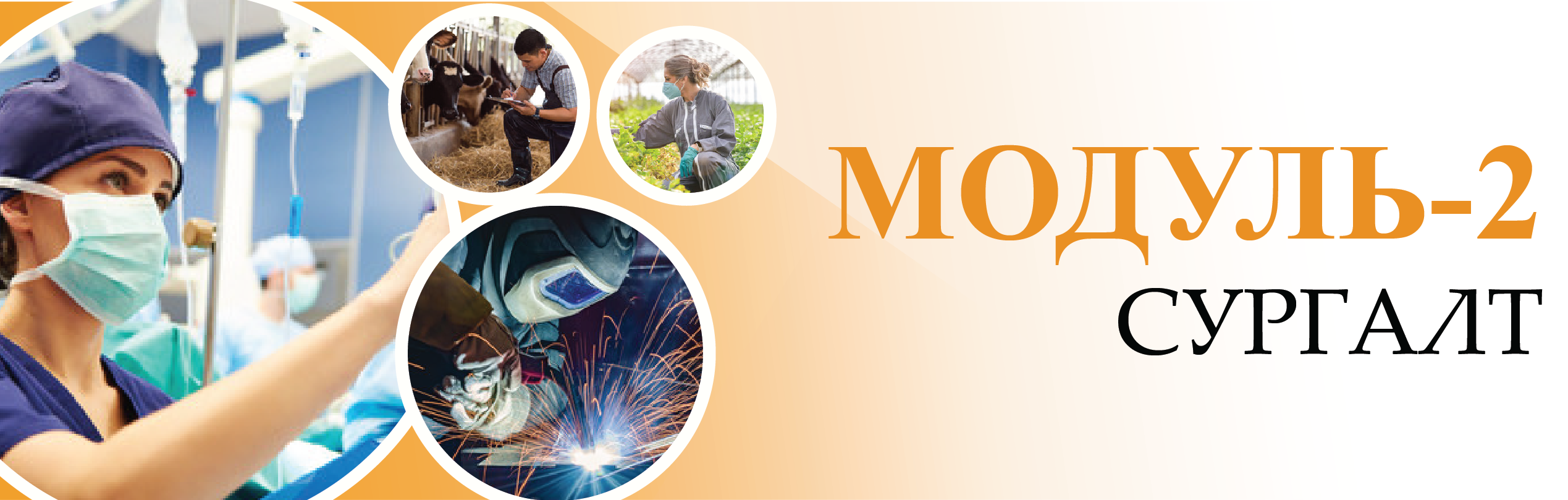 ЧАДАМЖИЙН ҮНЭЛГЭЭНИЙ АЖИЛТАН, БАТАЛГААЖУУЛАГЧ БЭЛТГЭХ МОДУЛЬ 2 СУРГАЛТ