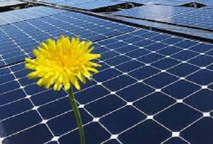 Хөтөлбөр 5. Нар, салхины үүсгүүртэй тоног төхөөрөмжийн угсрагч, засварчин