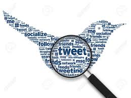 Мэргэжлийн дадлага-2