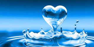 Ус хангамжийн сүлжээг төлөвлөх Z.WS306